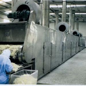 Dehydrated Vegetable Pre-processing Line